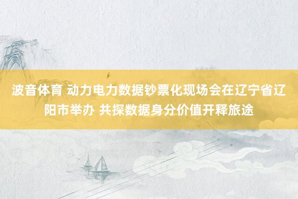 波音体育 动力电力数据钞票化现场会在辽宁省辽阳市举办 共探数据身分价值开释旅途