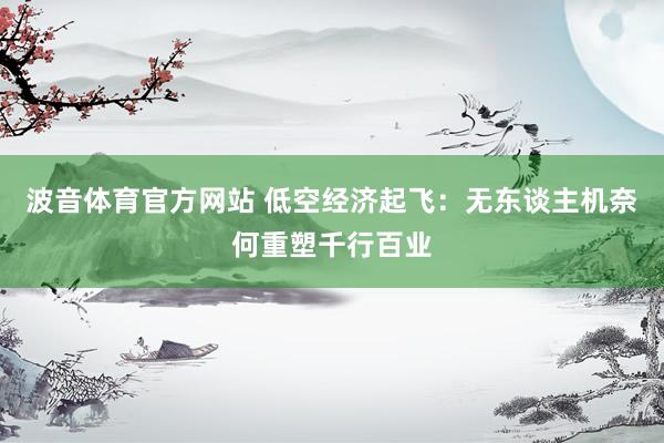 波音体育官方网站 低空经济起飞：无东谈主机奈何重塑千行百业