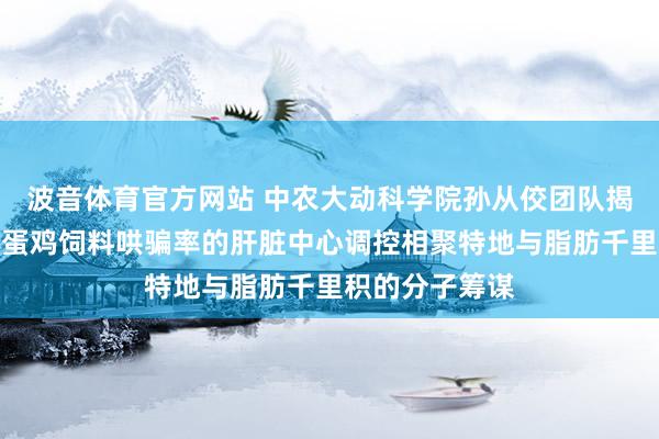 波音体育官方网站 中农大动科学院孙从佼团队揭示延迟产蛋期蛋鸡饲料哄骗率的肝脏中心调控相聚特地与脂肪千里积的分子筹谋