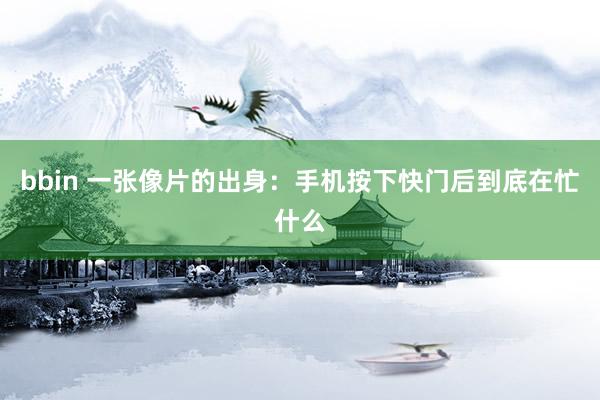 bbin 一张像片的出身：手机按下快门后到底在忙什么