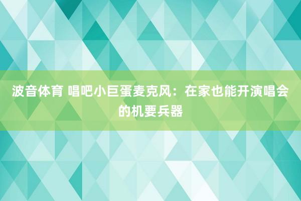 波音体育 唱吧小巨蛋麦克风：在家也能开演唱会的机要兵器