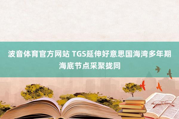 波音体育官方网站 TGS延伸好意思国海湾多年期海底节点采聚拢同