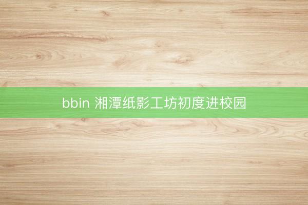 bbin 湘潭纸影工坊初度进校园